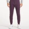 Gamechanger Jogger | Men's Blackberry